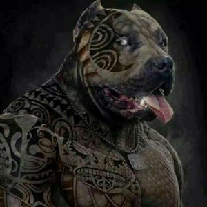 Meet your Posher, Albert